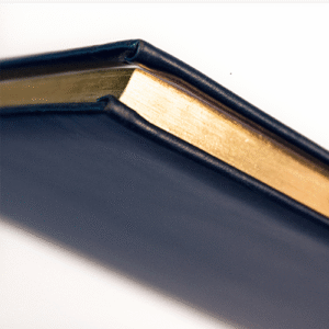 Darbo knyga - kalendorius TIMER Futura VIP, A4, juoda sp. - Image 3